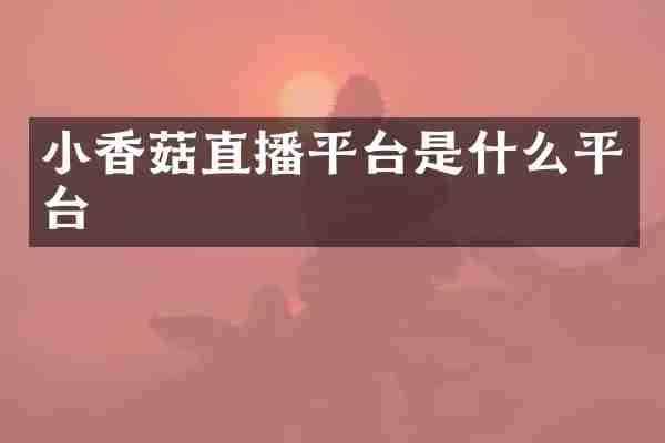 小香菇直播平台是什么平台