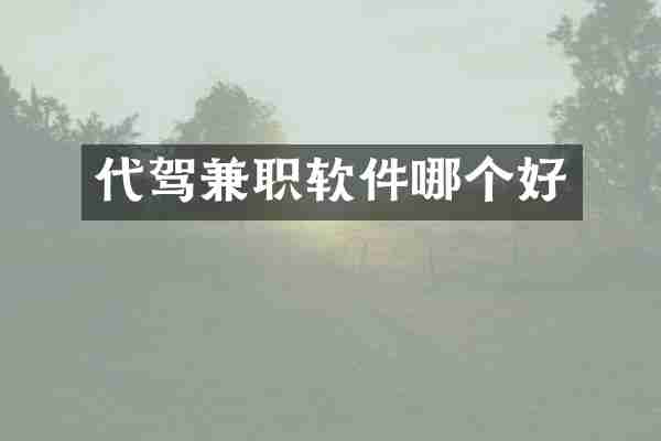 代驾兼职软件哪个好