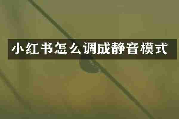 小红书怎么调成静音模式