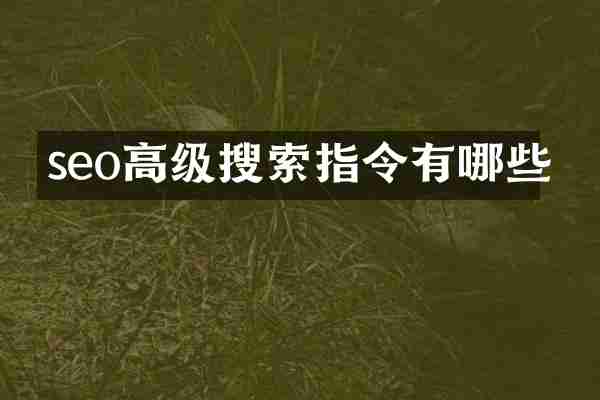 seo高级搜索指令有哪些