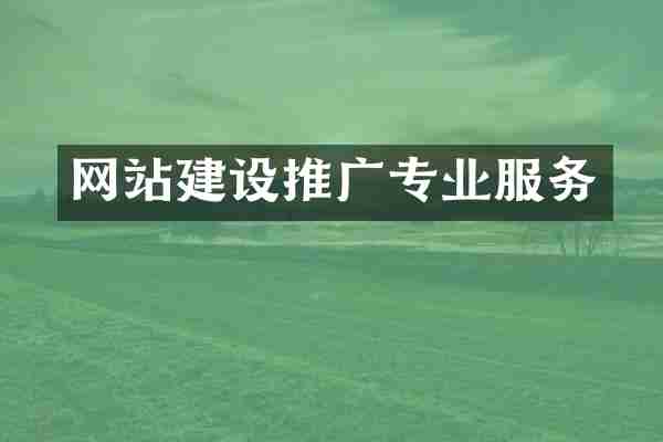 网站建设推广专业服务