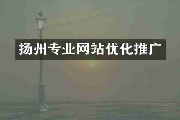 扬州专业网站优化推广