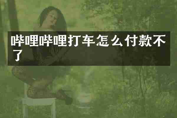 哔哩哔哩打车怎么付款不了