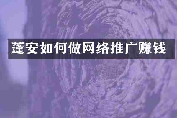 蓬安如何做网络推广赚钱
