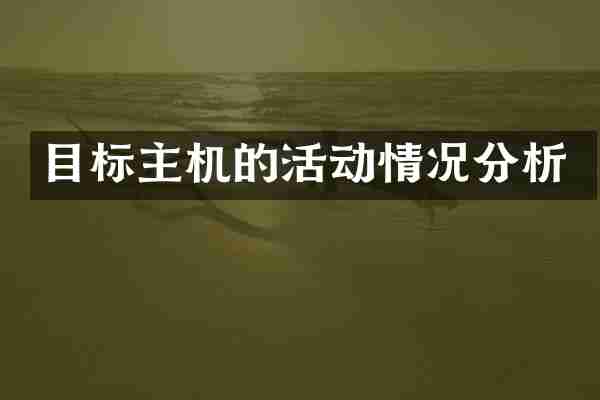 目标主机的活动情况分析