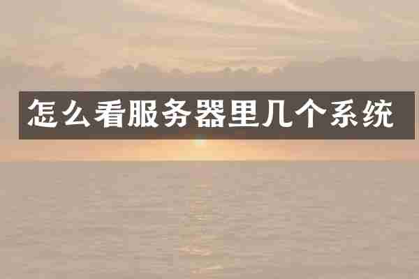 怎么看服务器里几个系统