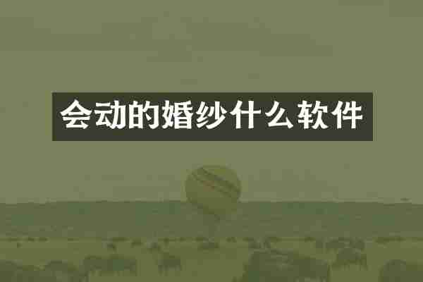 会动的婚纱什么软件