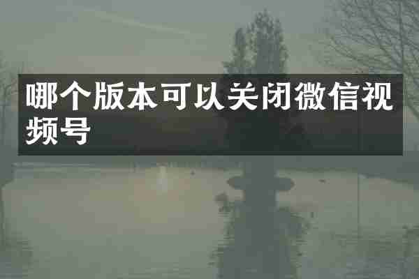 哪个版本可以关闭微信视频号