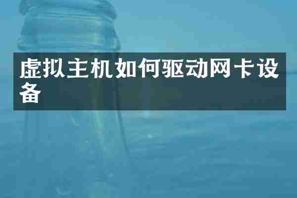 虚拟主机如何驱动网卡设备