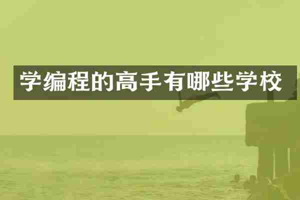 学编程的高手有哪些学校