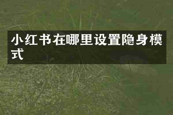 小红书在哪里设置隐身模式