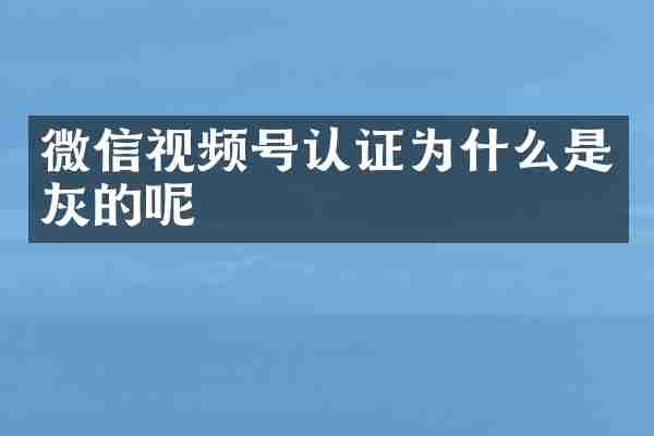 微信视频号认证为什么是灰的呢