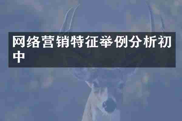 网络营销特征举例分析初中