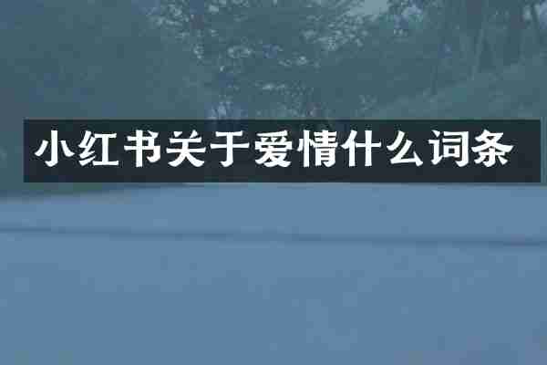 小红书关于爱情什么词条