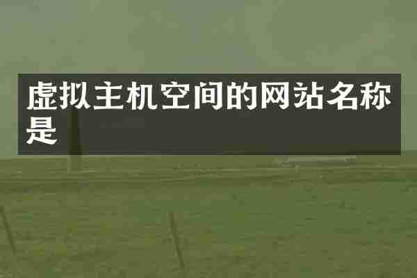 虚拟主机空间的网站名称是