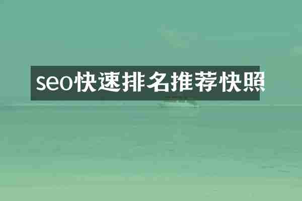 seo快速排名推荐快照