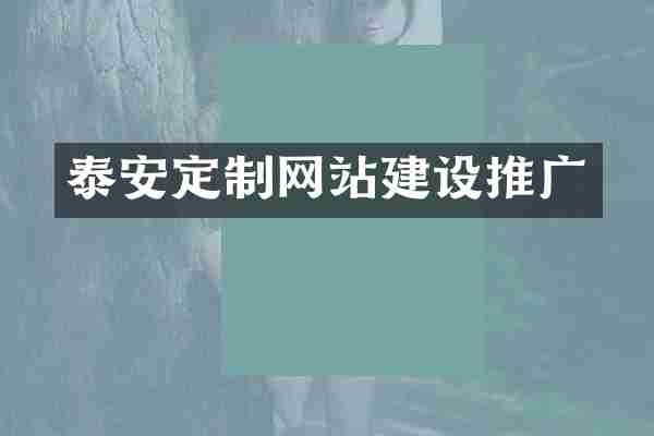 泰安定制网站建设推广