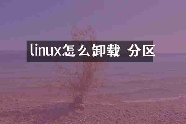 linux怎么卸载 分区
