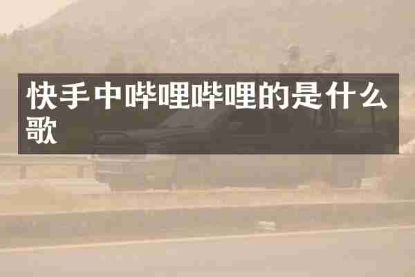 快手中哔哩哔哩的是什么歌