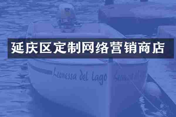 延庆区定制网络营销商店