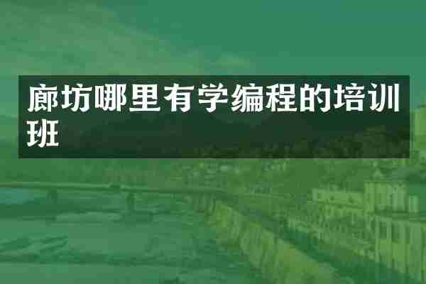 廊坊哪里有学编程的培训班