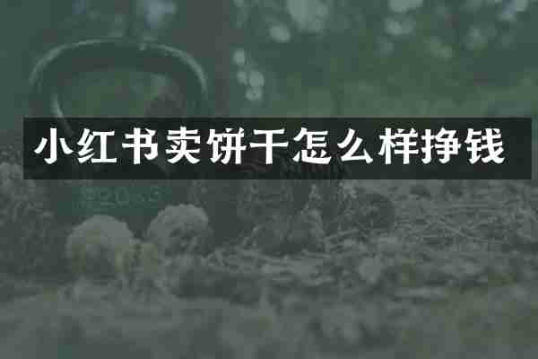 小红书卖饼干怎么样挣钱
