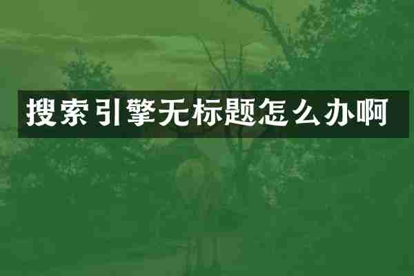 搜索引擎无标题怎么办啊