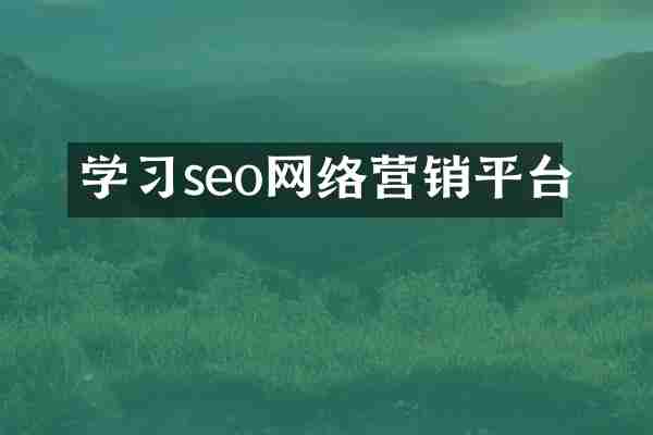 学习seo网络营销平台