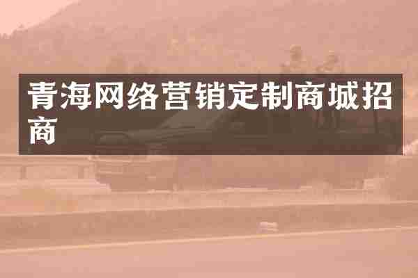 青海网络营销定制商城招商