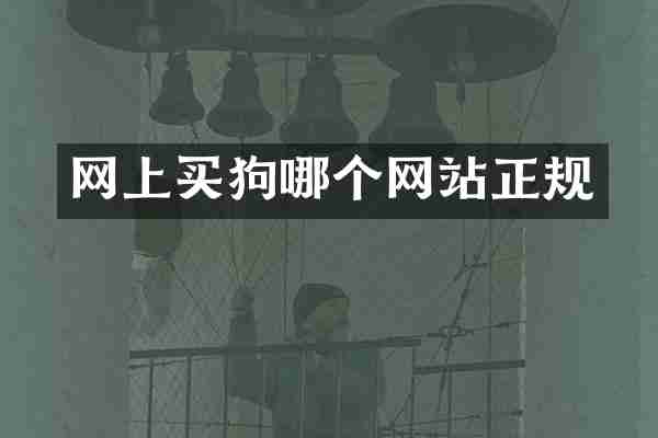 网上买狗哪个网站正规