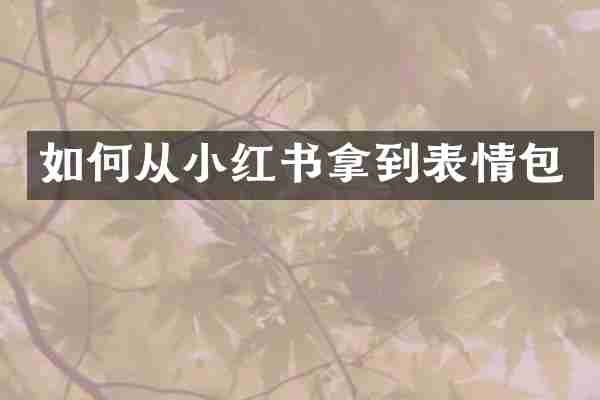 如何从小红书拿到表情包