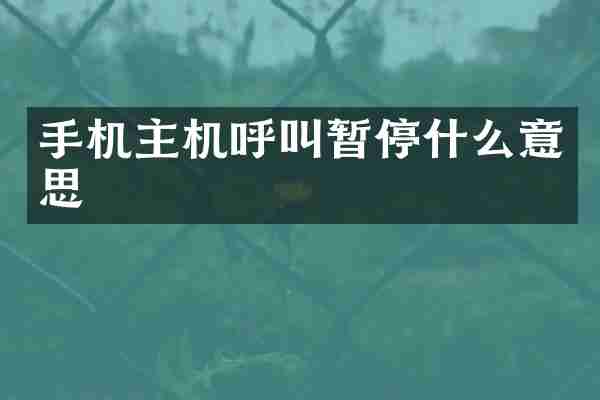 手机主机呼叫暂停什么意思