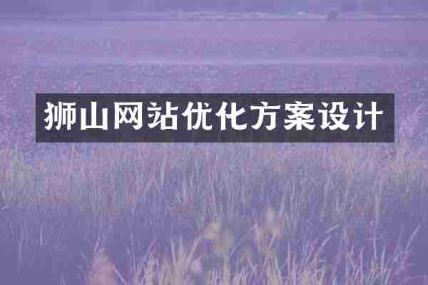 狮山网站优化方案设计