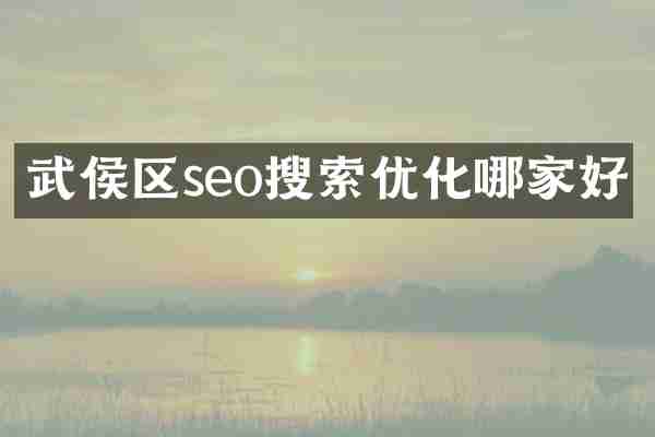 武侯区seo搜索优化哪家好