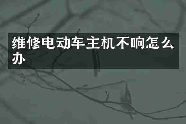 维修电动车主机不响怎么办