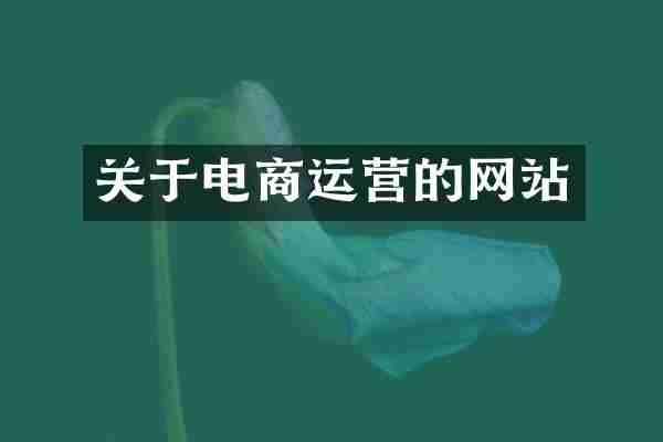 关于电商运营的网站