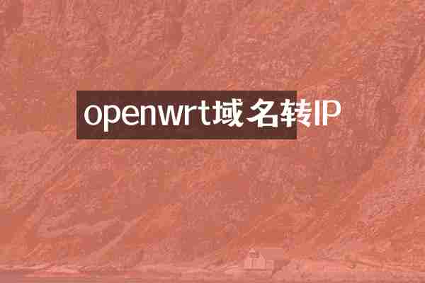 openwrt域名转IP