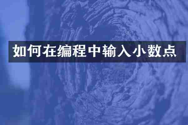 如何在编程中输入小数点