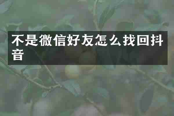 不是微信好友怎么找回抖音