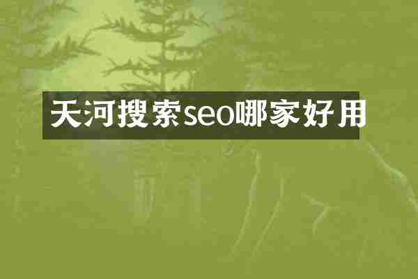 天河搜索seo哪家好用