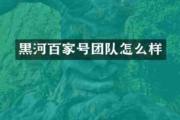 黑河百家号团队怎么样
