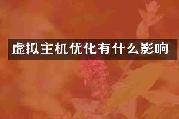 虚拟主机优化有什么影响