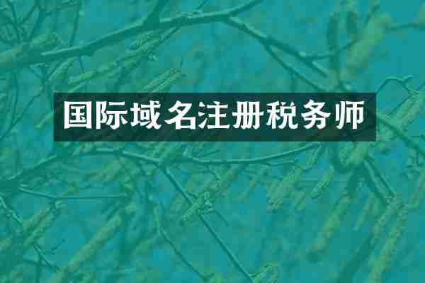 国际域名注册税务师
