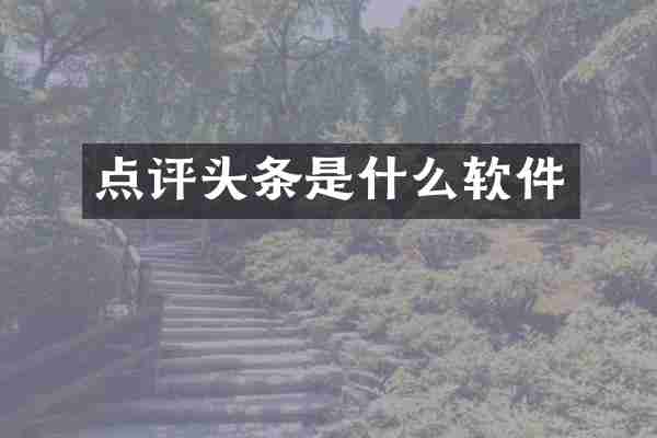 点评头条是什么软件