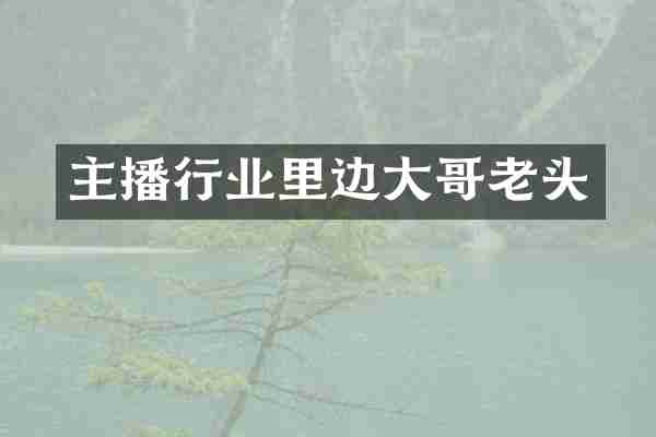主播行业里边大哥老头