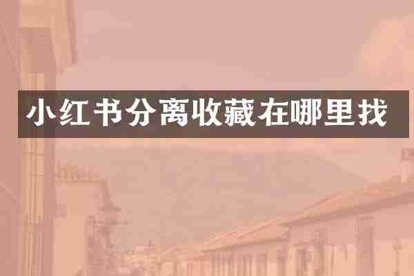 小红书分离收藏在哪里找