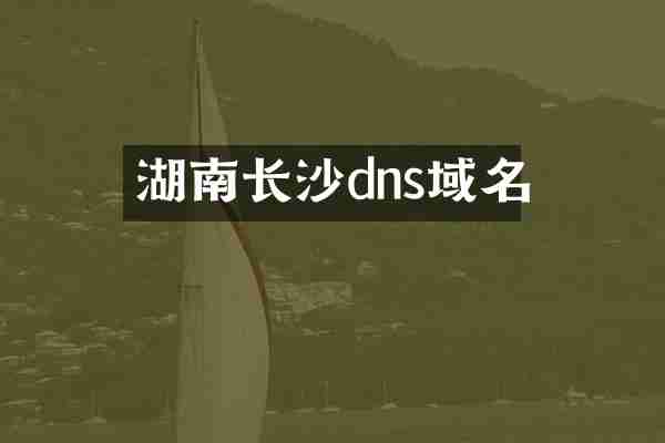 湖南长沙dns域名