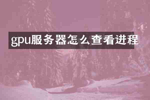 gpu服务器怎么查看进程