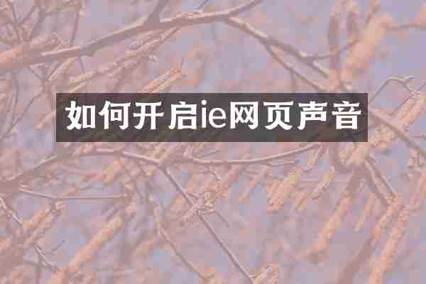 如何开启ie网页声音