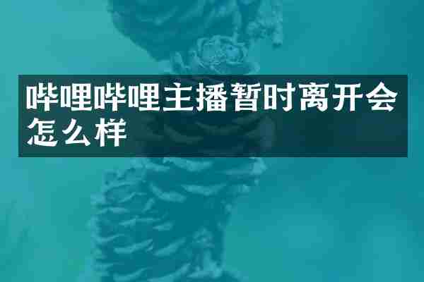 哔哩哔哩主播暂时离开会怎么样